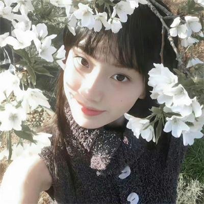 美丽的凯特